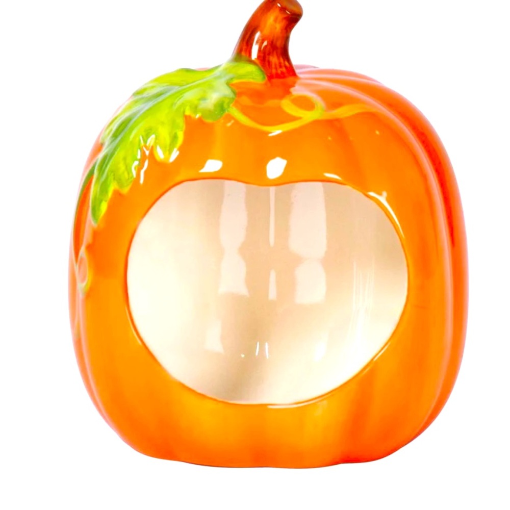 Temp-Tations by Tara Boofetti Halloween-Fall Pumpkin Sponge holder.